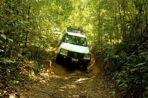 Cairns National Park Rainforest And Waterfall Small Group Tour Shore Excursion - Accommodation Daintree 0