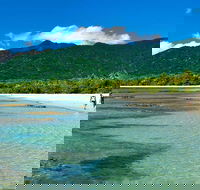 Private Daintree National Park Day Tour from Cairns Including Cape Tribulation and Mossman Gorge - Accommodation Daintree