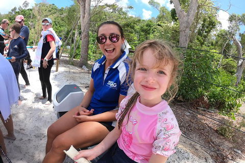 Whitehaven Beach Day Tour With Snorkel In Whitsundays Island - Accommodation Daintree 1