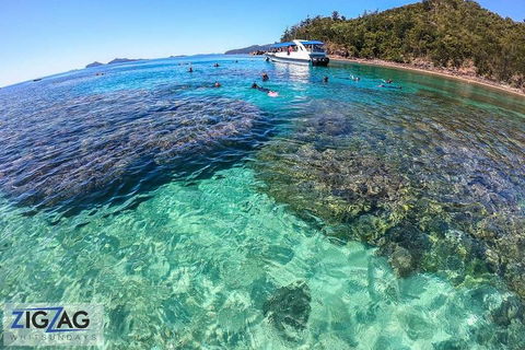 Whitehaven Beach Day Tour With Snorkel In Whitsundays Island - Accommodation Daintree 5