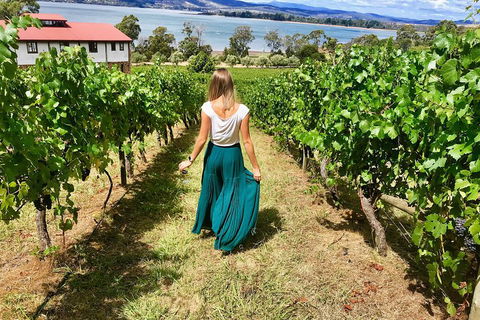 Tamar Valley Wine Tour With Lunch - Accommodation Daintree 2