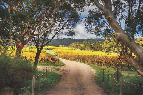 McLaren Vale Winery Small Group Tour With Wine Tasting And Lunch - Accommodation Daintree 1