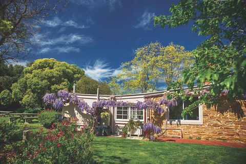 McLaren Vale Winery Small Group Tour With Wine Tasting And Lunch - Accommodation Daintree 2