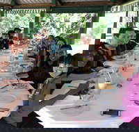 Natural Bridge Skywalk and Mt tamborine Adventure