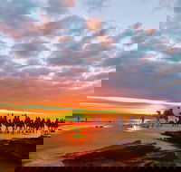 1 Hour Broome Sunset Camel Tour - Accommodation Daintree