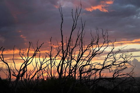 Sydney Harbour, Northern Beaches And National Park - Accommodation Daintree 4
