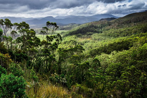 5-Day Lap Of Tasmania Tour From Hobart (flexible Ticket) - Accommodation Daintree 2