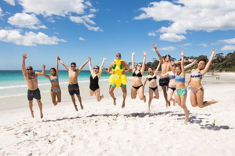 5-Day Lap Of Tasmania Tour From Hobart (flexible Ticket) - Accommodation Daintree 4