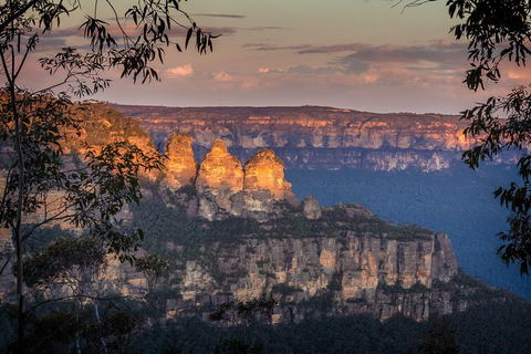 Private Blue Mountains Tour With Kangaroo And Koala Experience - Accommodation Daintree 1