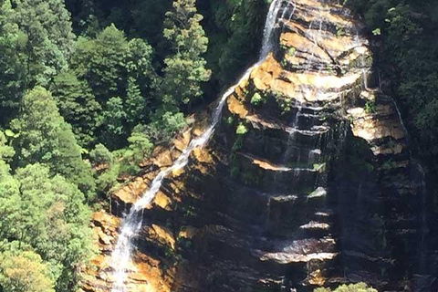 Private Blue Mountains Tour With Kangaroo And Koala Experience - Accommodation Daintree 5