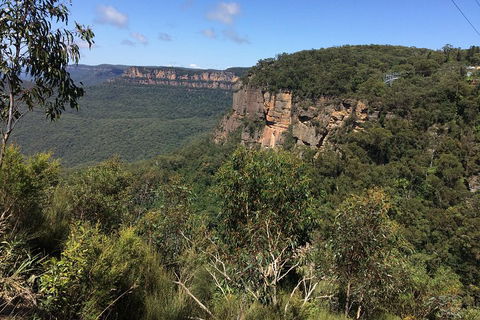 Full-Day Private Blue Mountains Tour With River Cruise - Accommodation Daintree 1