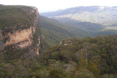 Full-Day Private Blue Mountains Tour With River Cruise - Accommodation Daintree 3