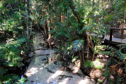 Fraser Island 4WD Tour From Rainbow Beach - Accommodation Daintree 0