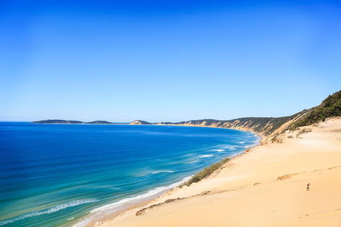Kayak With Dolphins And 4WD Great Beach Drive Day Trip From Noosa - Accommodation Daintree 0
