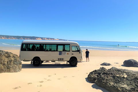 Kayak With Dolphins And 4WD Great Beach Drive Day Trip From Noosa - Accommodation Daintree 4