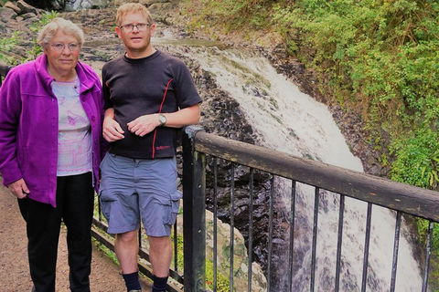 Natural Arch, Rainforest & Volcano Canyon - Private Half Day Tour - Accommodation Daintree 1