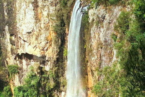 Natural Arch, Rainforest & Volcano Canyon - Private Half Day Tour - Accommodation Daintree 2
