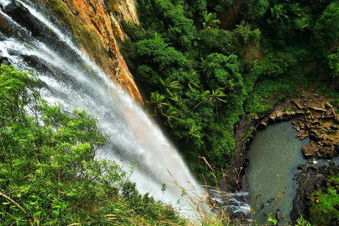 Natural Arch, Rainforest & Volcano Canyon - Private Half Day Tour - Accommodation Daintree 5
