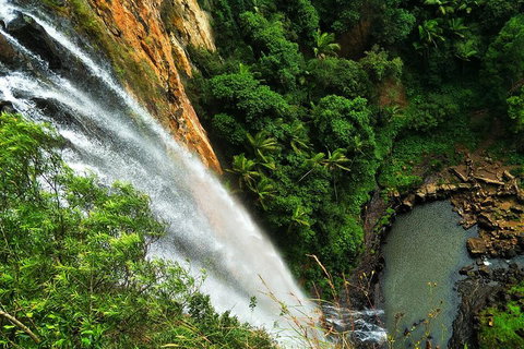 Private Tour - Rainforest & Waterfalls Extravaganza - Accommodation Daintree 2