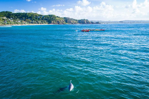 The Byron Bay Sea Kayak Tour - Accommodation Daintree 2
