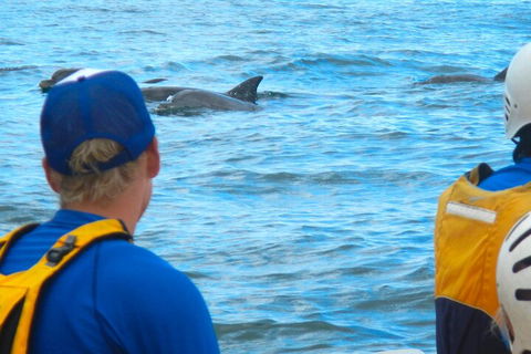The Byron Bay Sea Kayak Tour - Accommodation Daintree 4