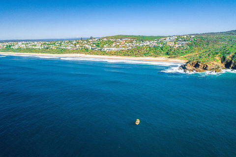 Noosa Oceanrider Scenic Dolphin Safari - Accommodation Daintree 4