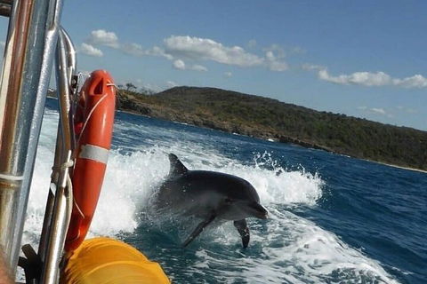Noosa Oceanrider - Adventure Tour - Accommodation Daintree 1