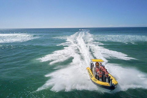 Noosa Oceanrider - Adventure Tour - Accommodation Daintree 2
