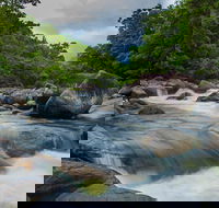 Cape Tribulation Day Tour - Accommodation Daintree