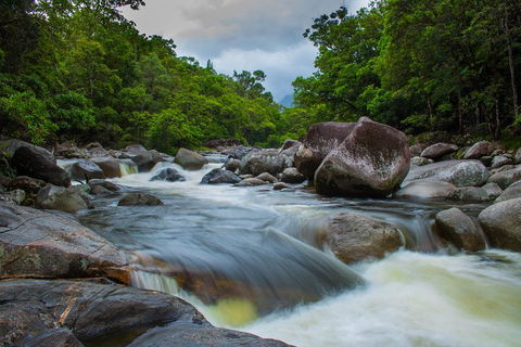 Cape Tribulation Day Tour - Accommodation Daintree 0