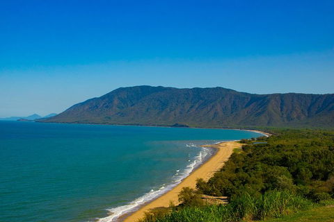 Cape Tribulation Day Tour - Accommodation Daintree 1