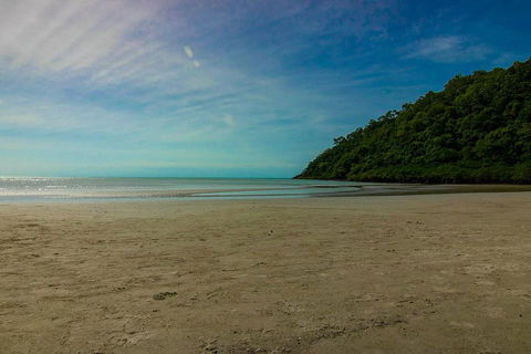 Cape Tribulation Day Tour - Accommodation Daintree 2