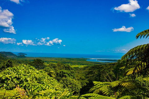 Cape Tribulation Day Tour - Accommodation Daintree 3