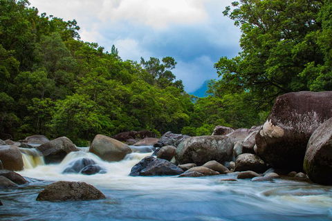 Cape Tribulation Day Tour - Accommodation Daintree 4
