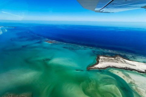 Wet Season Incredible Islands Tour - Horizontal Falls & Cygnet Bay Pearl Farm - Accommodation Daintree 4