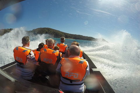Noosa Thriller - 500hp Ocean Adventure Ride - Accommodation Daintree 3