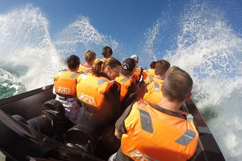 Noosa Thriller - 500hp Ocean Adventure Ride - Accommodation Daintree 4