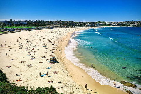 Sydney & Bondi Beach Plus Local Secrets With 'Personalised Sydney Tours' - Accommodation Daintree 5