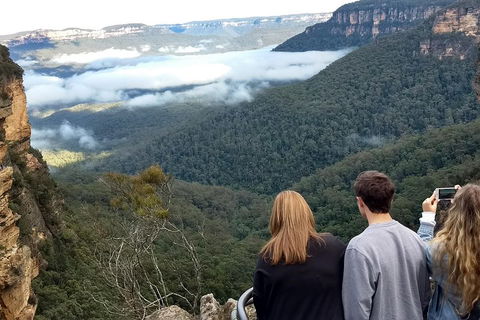 Blue Mountains Private Tour - Wild Kangaroos, Waterfalls And The Three Sisters - Accommodation Daintree 3