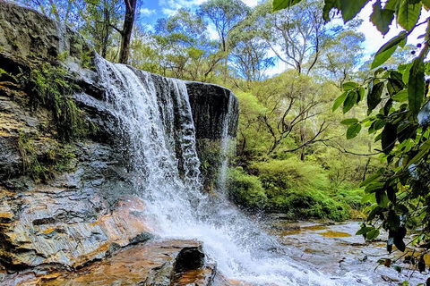 Blue Mountains Private Tour - Wild Kangaroos, Waterfalls And The Three Sisters - Accommodation Daintree 5