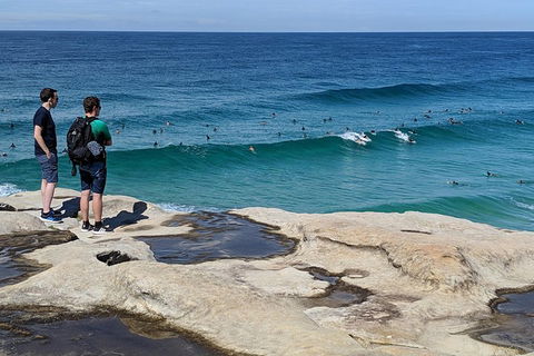 Sydney Secrets & Bondi Beach Private 4 Hr Morning With Personalised Sydney Tours - Accommodation Daintree 2