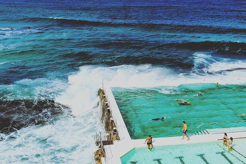 Sydney Secrets & Bondi Beach Private 4 Hr Morning With Personalised Sydney Tours - Accommodation Daintree 4