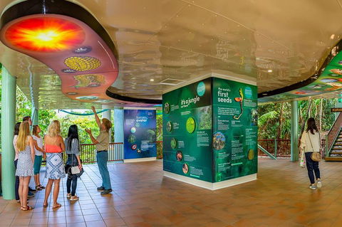 Skyrail & Kuranda Train Day Trip From Cairns - Accommodation Daintree 0