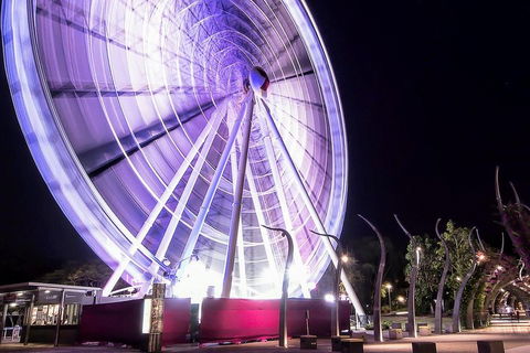 Discover Brisbane - Accommodation Daintree 0