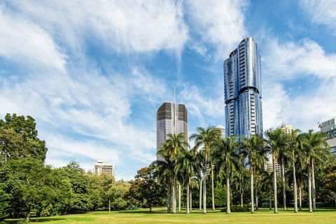 Discover Brisbane - Accommodation Daintree 1