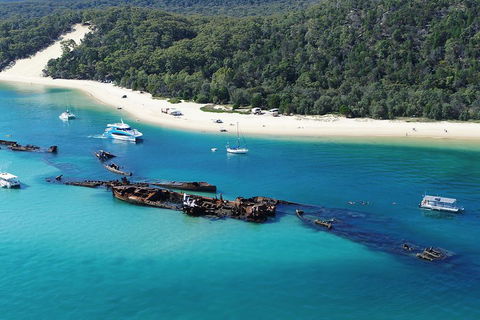 All Inclusive Tangalooma Wrecks Cruise Tour From Gold Coast - Accommodation Daintree 0