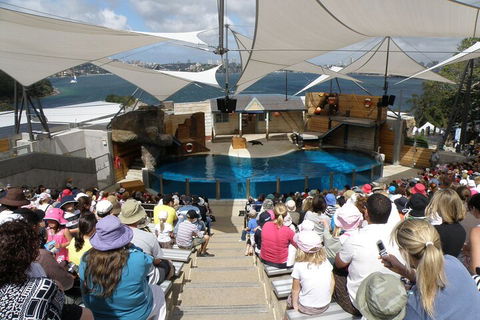 Sydney Taronga Zoo General Entry Ticket - Accommodation Daintree 5