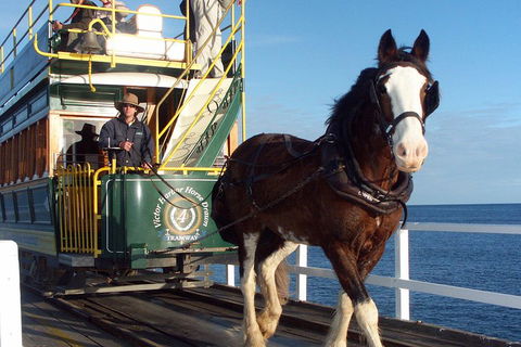 Full-Day Tour In South Australia Highlights - Accommodation Daintree 1