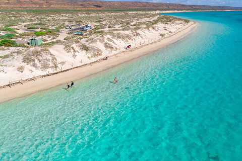 Ningaloo In A Day - Full Day Hike And Snorkel Tour With Lunch - Accommodation Daintree 0