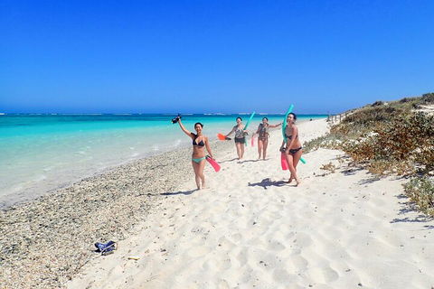 Ningaloo In A Day - Full Day Hike And Snorkel Tour With Lunch - Accommodation Daintree 1